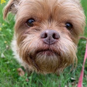 Meet your Posher, Cheryl